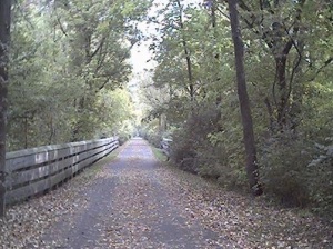 Trail by the creek